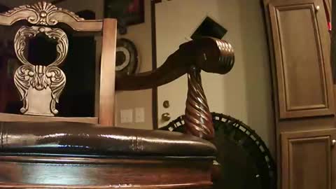 1naturelover online show from February 7, 12:42 am