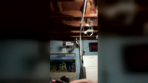 33adidas online show from March 10, 8:20 am