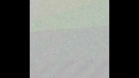 38 Parrots online show from January 8, 7:08 pm