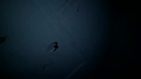 4j_n online show from April 27, 2:41 am