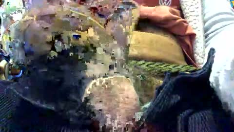 6990fiko online show from November 18, 8:29 am