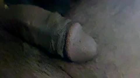 fochi online show from December 12, 5:37 pm