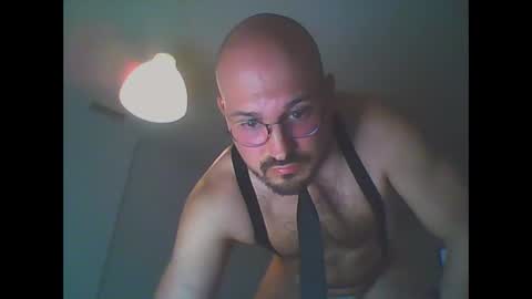 furby online show from March 14, 6:48 pm