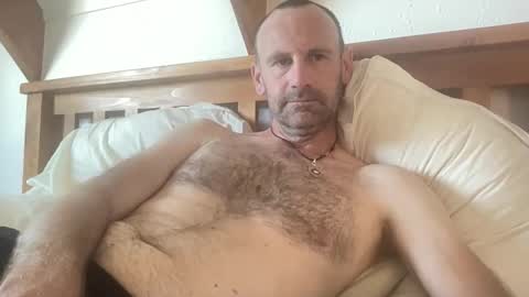 Kiwi online show from November 24, 2:01 am