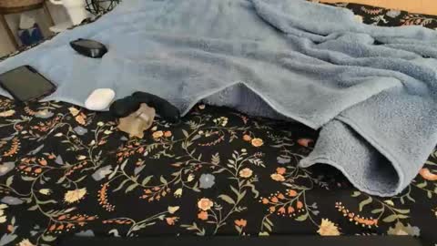 Naked Gentleman online show from December 16, 2:29 am