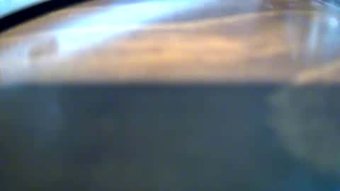 adamkush online show from January 9, 6:13 pm