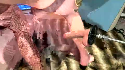 adamlong26 online show from July 18, 12:06 am