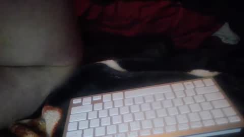 Snapshot of aken4it chatting on October 17, 7:29 pm aken4it online show from October 17, 7:29 pm