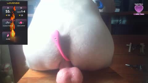 Alex online show from October 11, 12:20 pm