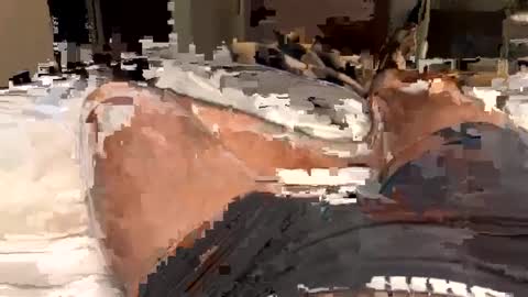 Snapshot of alexander418284 chatting on September 12, 9:04 pm alexander418284 online show from September 12, 9:04 pm