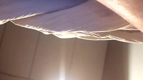 alldickandass11 online show from March 17, 2:04 am