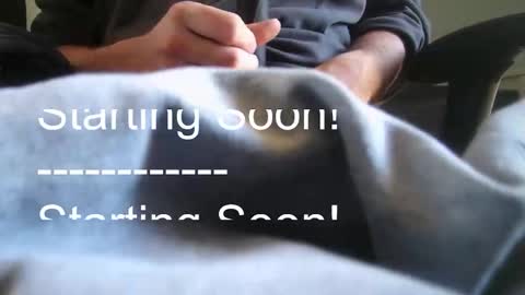 A online show from February 1, 10:58 am