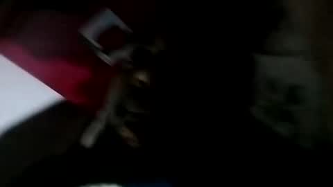 anganu online show from October 17, 8:29 am