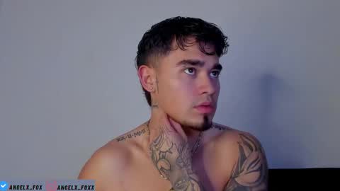 Angel Fox online show from November 13, 9:08 pm