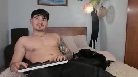 Angel Fox online show from December 3, 6:17 pm