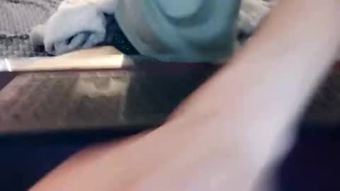 anonymousstoner58 online show from February 17, 5:06 am