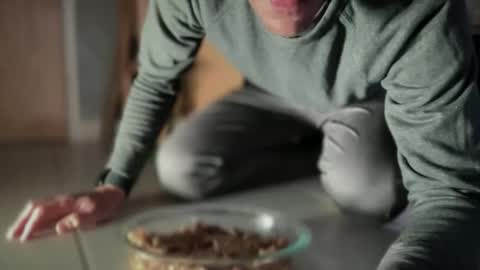 ansal1001 online show from November 25, 2:08 pm