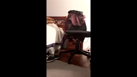 antonino85 online show from December 3, 11:22 pm