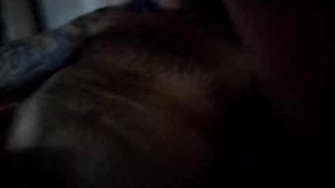 anything4tokens1971 online show from February 1, 11:54 am