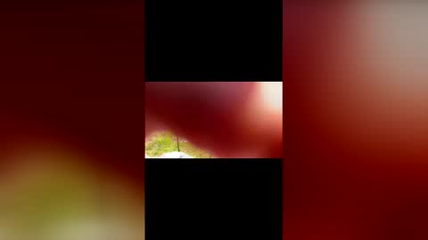 armyshore online show from April 24, 12:18 pm