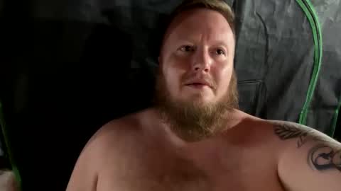 StockyGINGERcub online show from December 8, 9:02 am