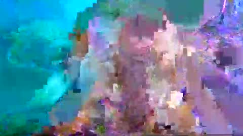 Snapshot of aspyporn chatting on January 26, 10:46 pm Aspy online show from January 26, 10:46 pm