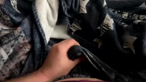 Snapshot of averagecock696969 chatting on January 15, 4:04 am averagecock696969 online show from January 15, 4:04 am