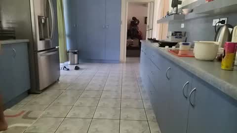 barrablazer76 online show from November 3, 11:28 pm