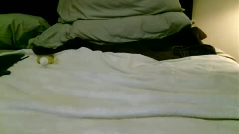 beagle1 online show from December 26, 5:58 am