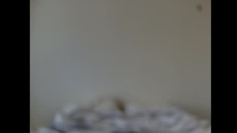 Bean online show from March 12, 6:04 pm