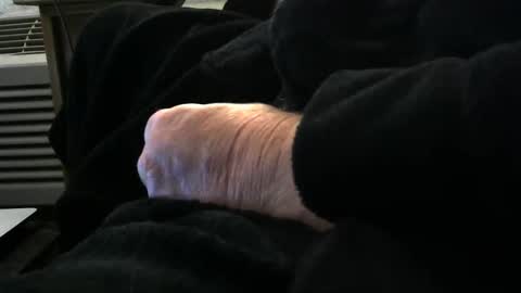 bear4146 online show from March 1, 11:32 am