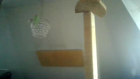 benizio online show from January 15, 10:38 am