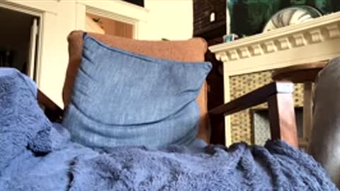 fka Immortan Scott online show from February 25, 8:54 pm