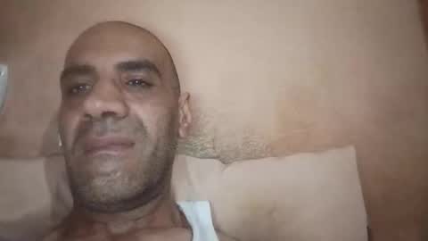 Cock arabic Authentic online show from June 3, 7:54 am