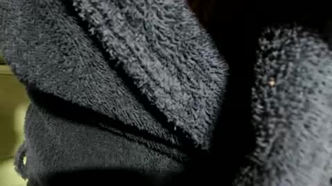 Big Blue online show from December 28, 12:14 pm