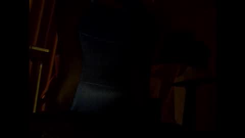 bigbro0007 online show from November 25, 7:05 pm