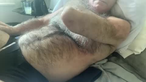 Snapshot of bigbush1 chatting on February 2, 2:48 am big bush online show from February 2, 2:48 am