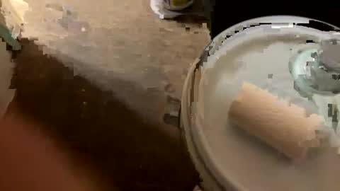 bigdaddy24569 online show from April 12, 1:20 am