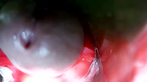 bigmoneycorey online show from March 12, 7:32 pm