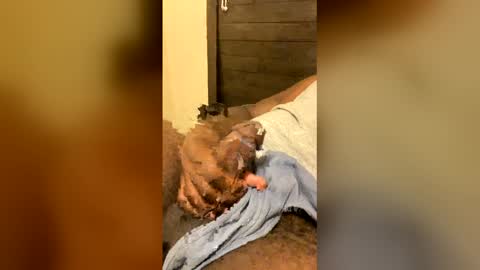 bigpressure598728 online show from June 7, 4:08 am