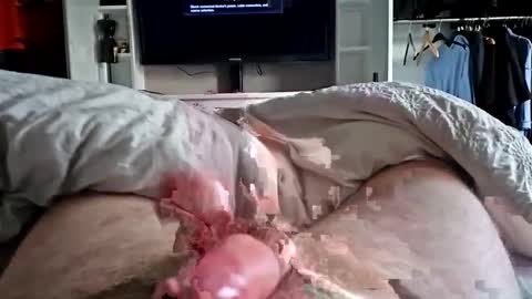 Snapshot of bigrobnob chatting on January 26, 8:36 am bigrobnob online show from January 26, 8:36 am