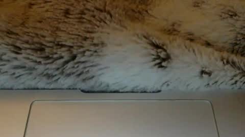 bigtitslover3500 online show from March 21, 9:47 am