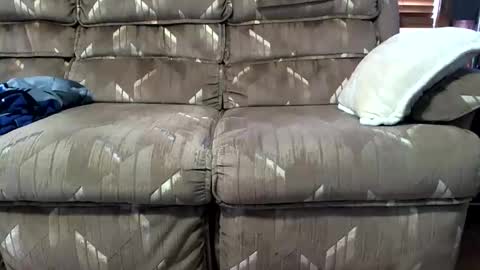 Snapshot of biguylovessuckingcock chatting on September 13, 9:38 pm biguylovessuckingcock online show from September 13, 9:38 pm