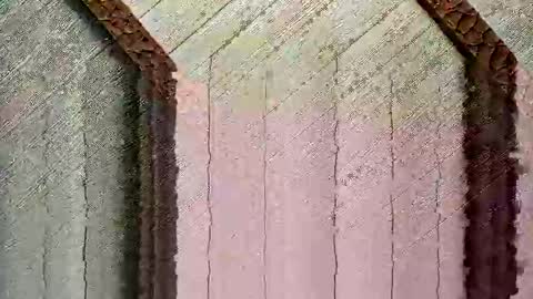 Snapshot of bigwytecock1979 chatting on December 24, 4:30 pm bigwytecock1979 online show from December 24, 4:30 pm