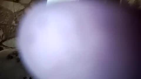 Snapshot of bigwytecock1979 chatting on January 10, 12:17 am bigwytecock1979 online show from January 10, 12:17 am