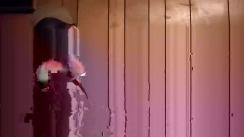 bigwytecock1979 online show from December 1, 4:59 am