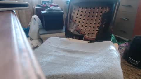 Bimbttm online show from December 21, 5:29 pm