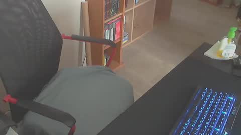 Snapshot of biparislove chatting on December 24, 8:55 am BigDick online show from December 24, 8:55 am