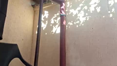 Snapshot of bisexdadd chatting on October 29, 11:13 am bisexdadd online show from October 29, 11:13 am