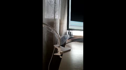 biytwert online show from January 10, 5:34 am